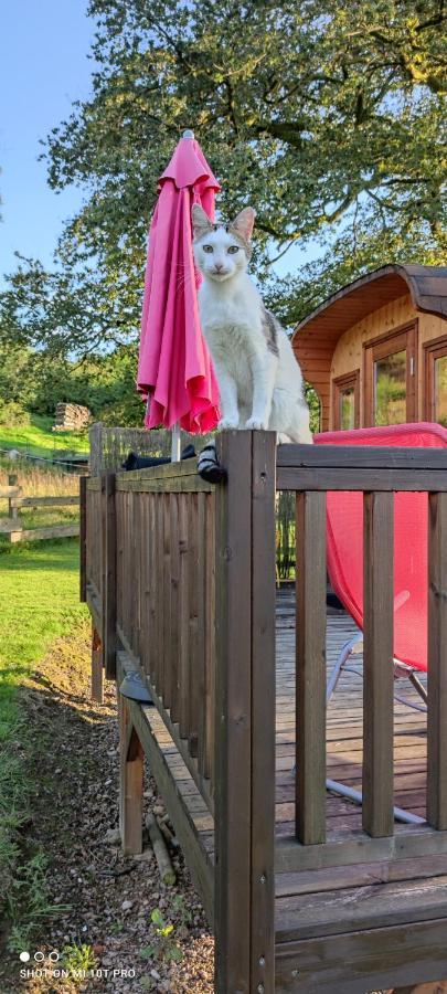 Hotel Ma Roulotte Sous Les Chenes "La Passionnee" Raon-aux-Bois Exteriér fotografie