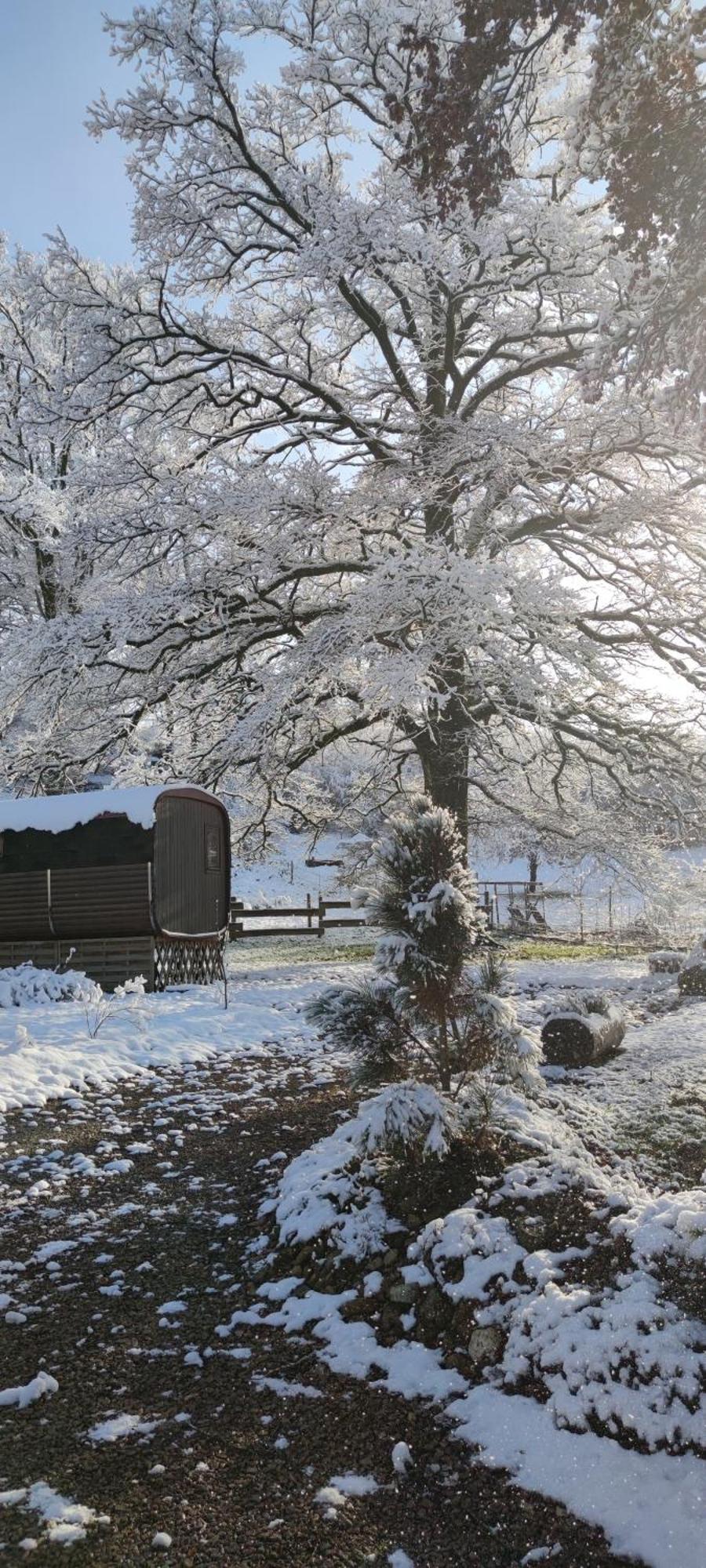 Hotel Ma Roulotte Sous Les Chenes "La Passionnee" Raon-aux-Bois Exteriér fotografie